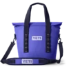Ultramarine Violet