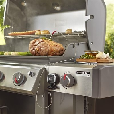 Weber igrill online