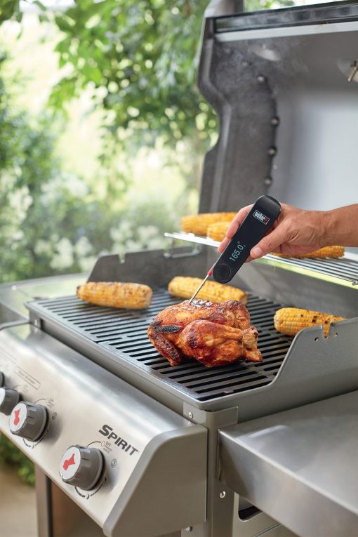 Weber grill thermometer discount