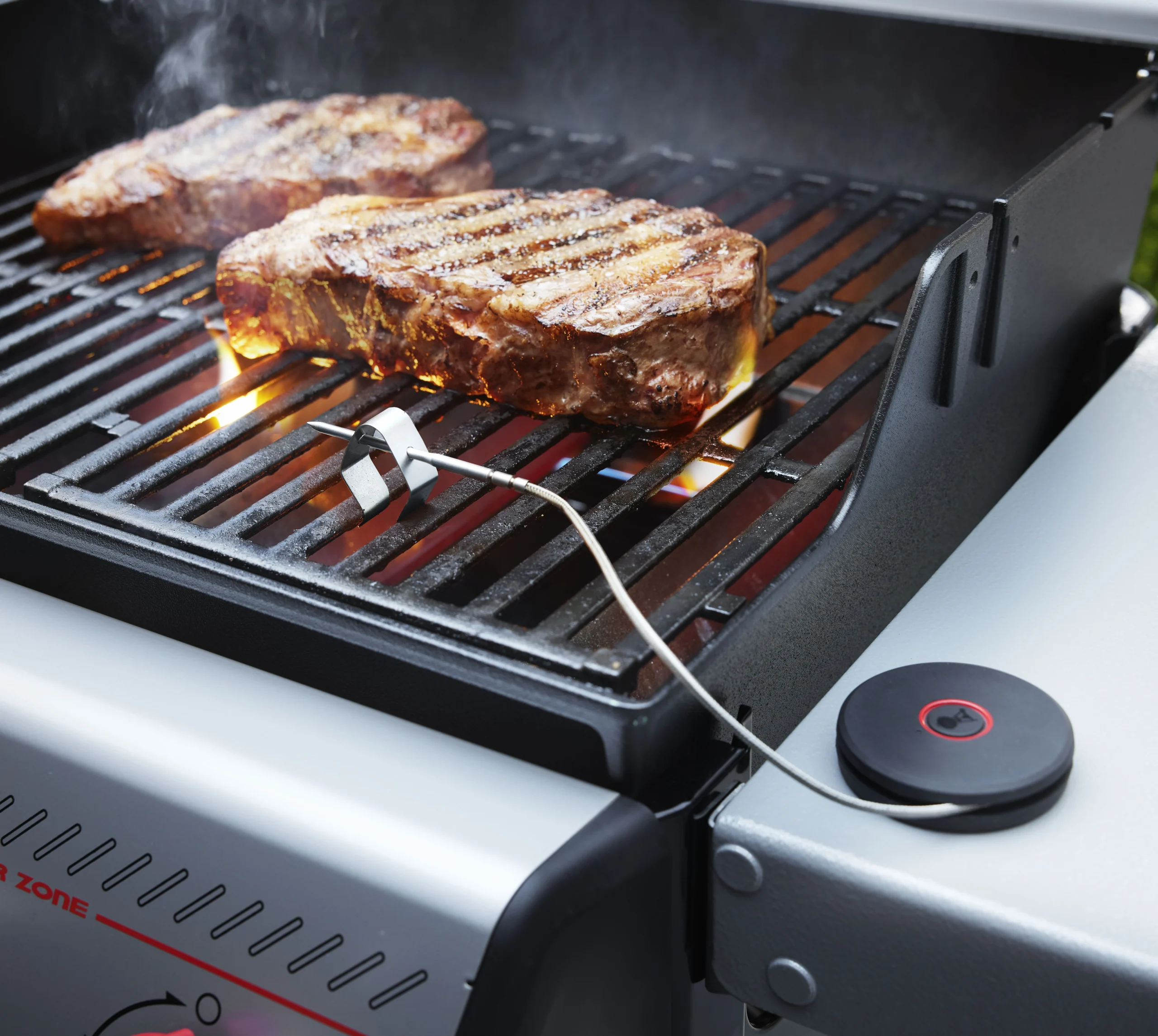 Weber Connect Smart Probe and Grate Sensor