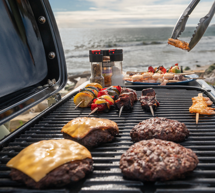 Barbecue à gaz Weber Traveler