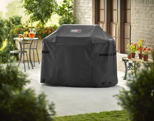 Weber Q