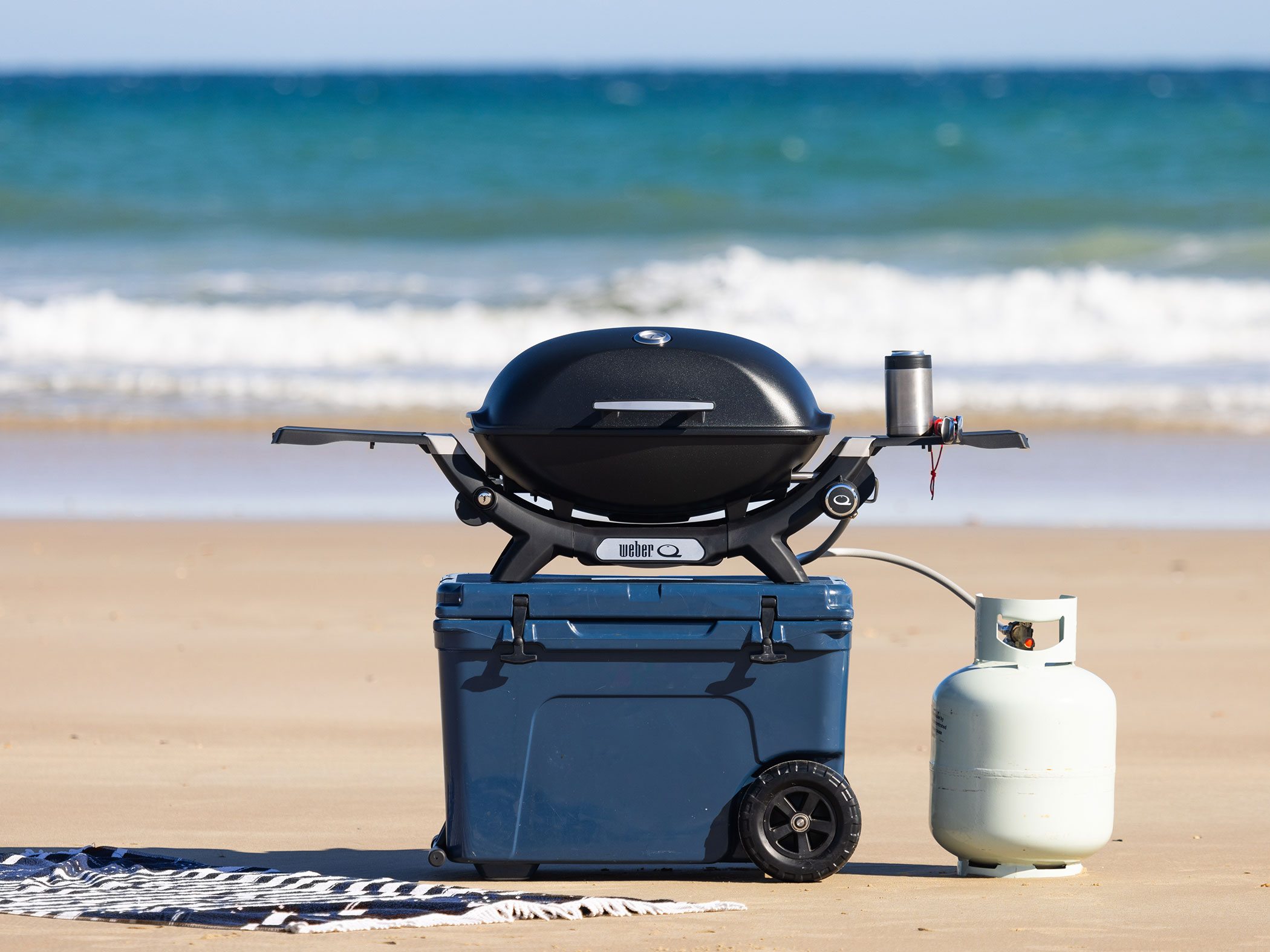 Weber boat grill hotsell