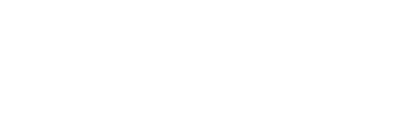 Weber Q Logo