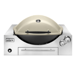 WEBER FAMILY Q 3600