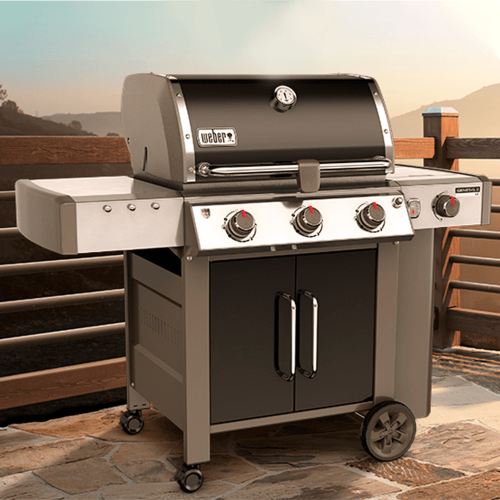 Meet the Weber II | Heat and