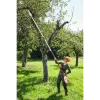Stihl - AP - Battery Pole Pruner