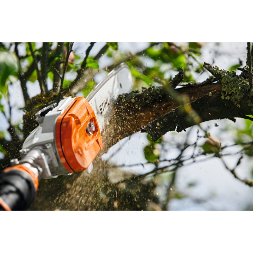 Stihl - AP - Battery Pole Pruner