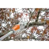 Stihl - AK - Battery Pole Pruner